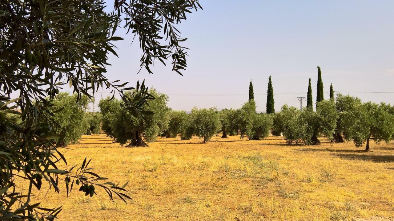 Вилла Casa Rural La Amistad Бургильос-де-Толедо Экстерьер фото